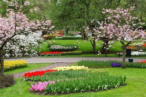  O Jardim de flores do Lago Tai, um paraíso de beleza floral e serenidade contemplativa!